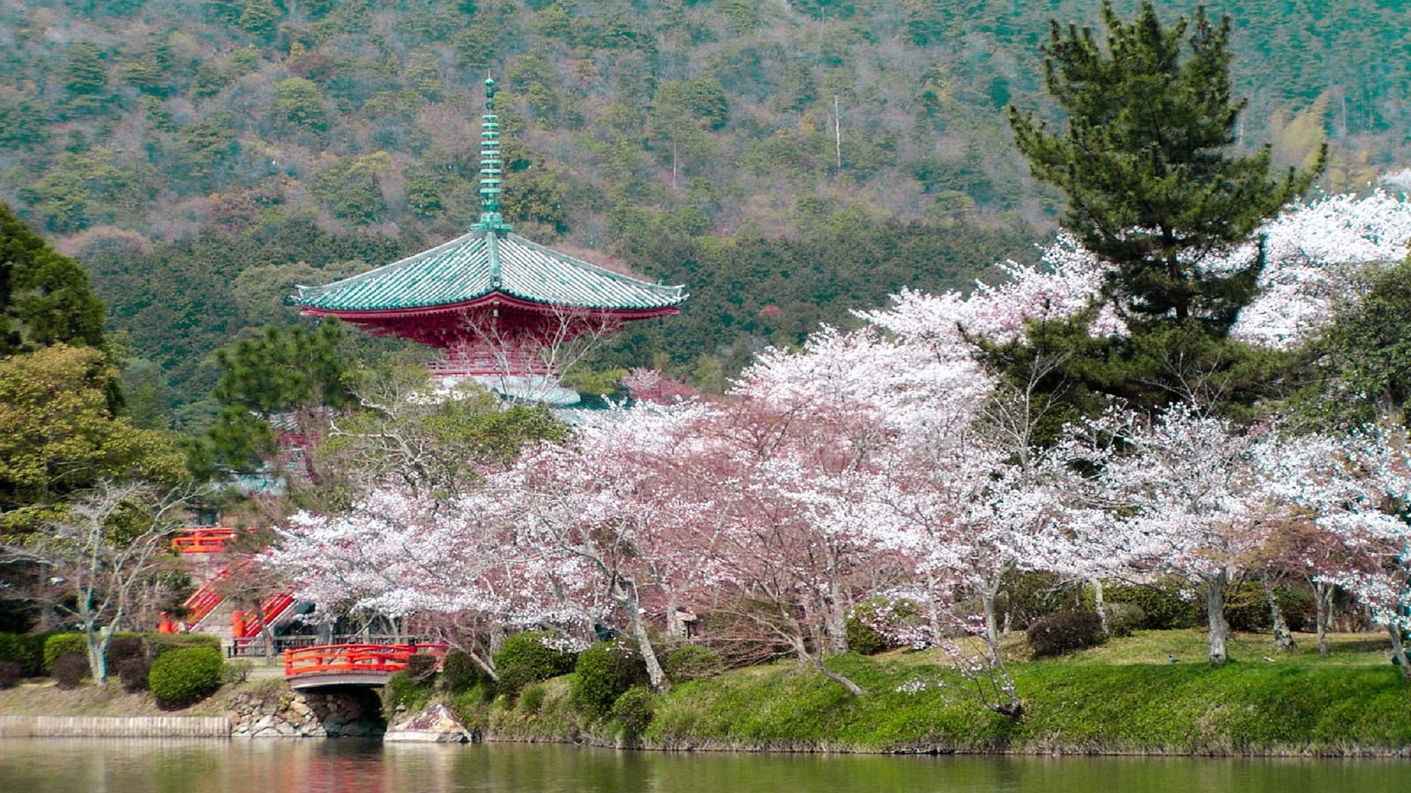 【大覚寺】春の特別早朝拝観プラン