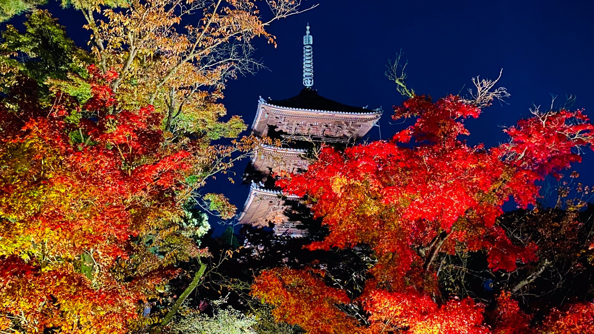 【夜間拝観】仁和寺