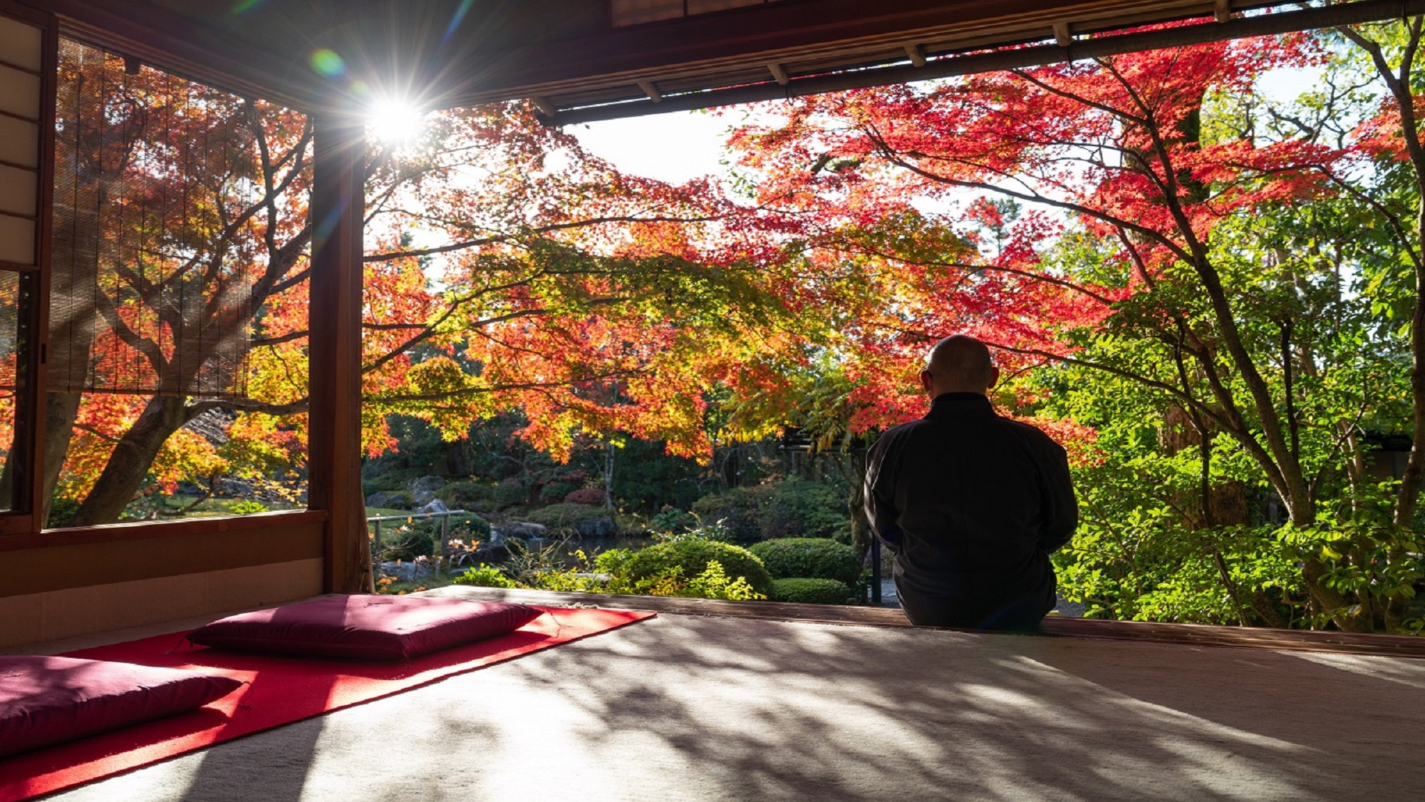 【退蔵院】秋の特別早朝拝観プラン