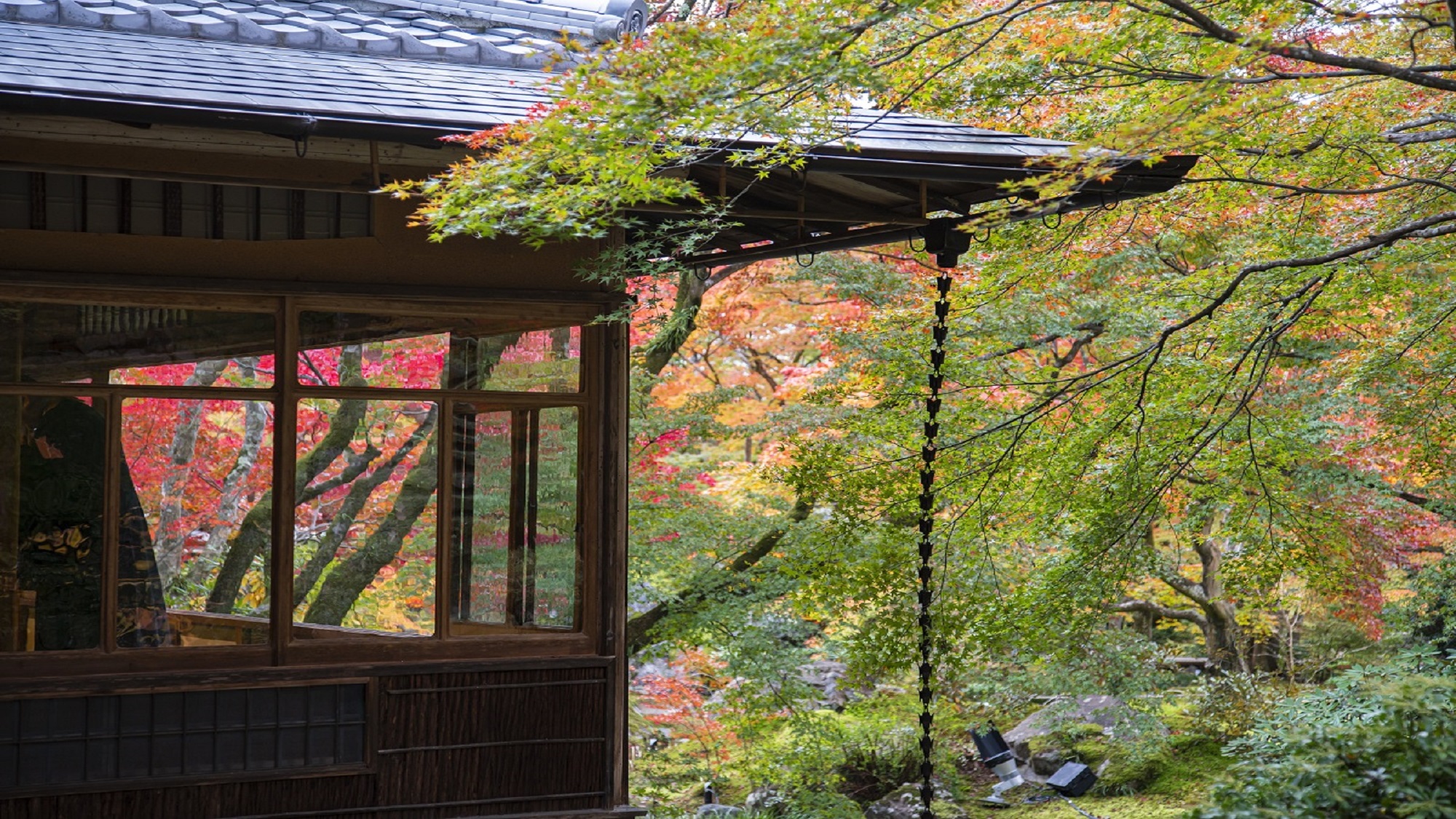 【宝厳院】秋の特別早朝拝観プラン
