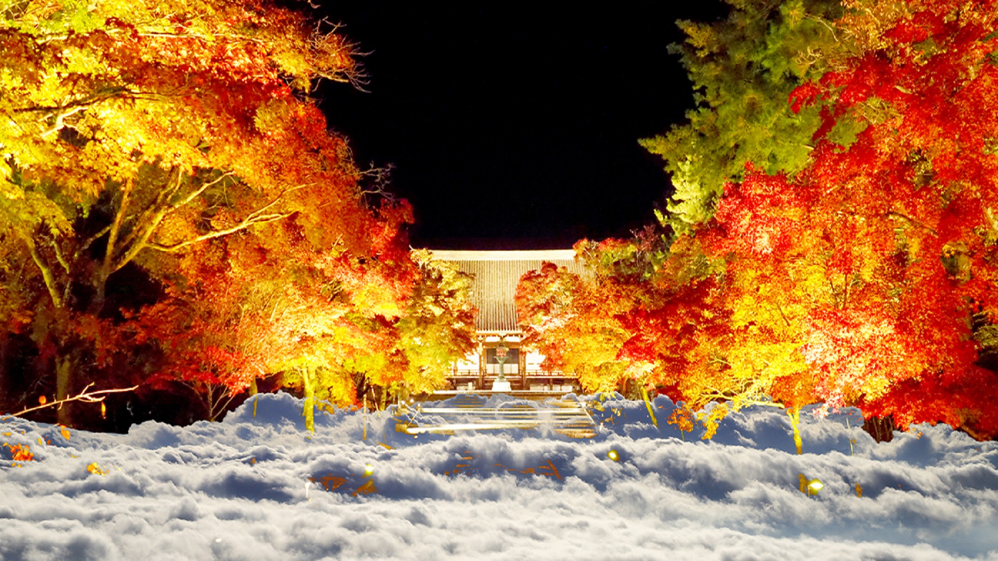 【夜間拝観】仁和寺