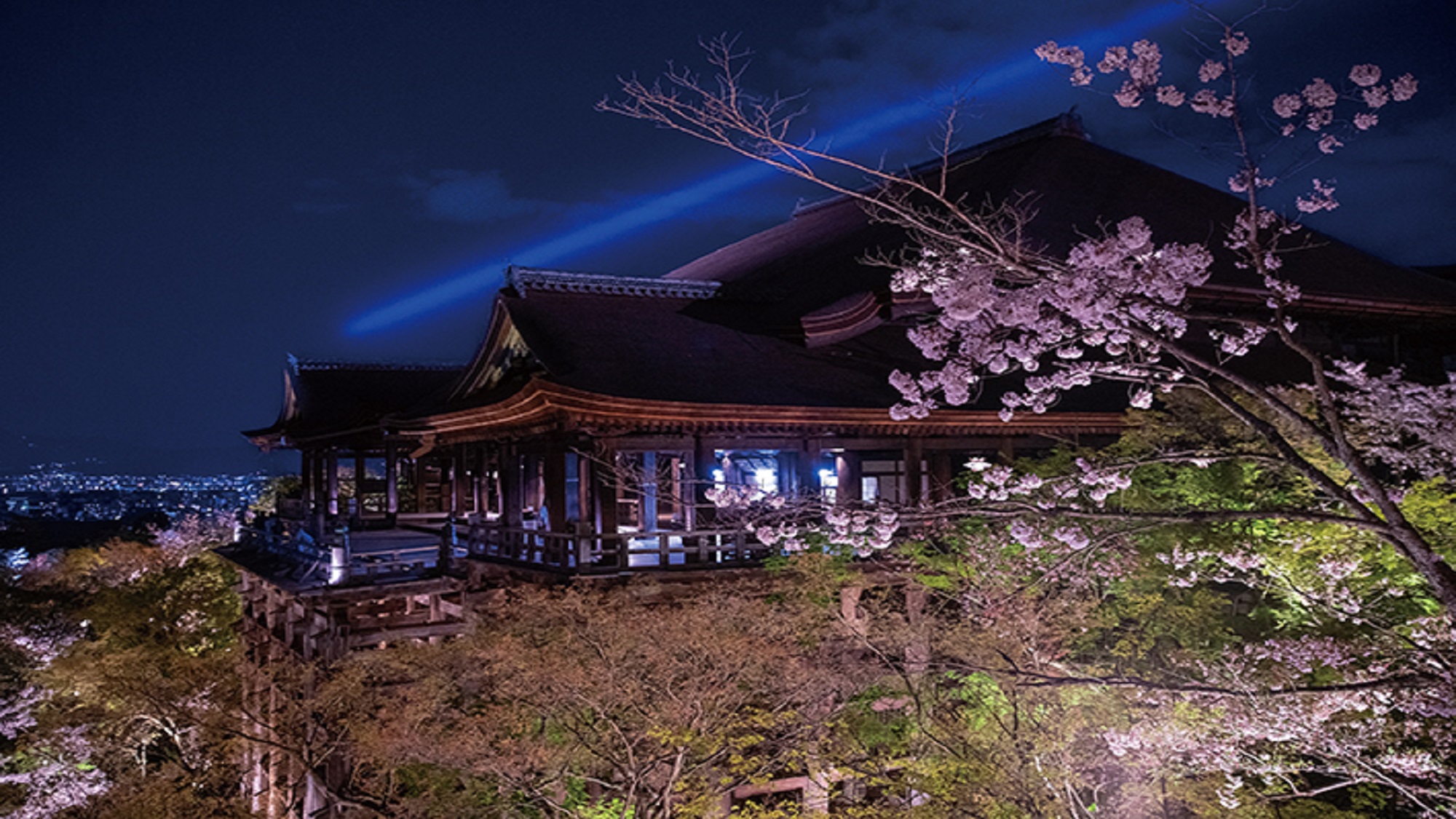 【世界文化遺産　清水寺】春の夜間特別拝観