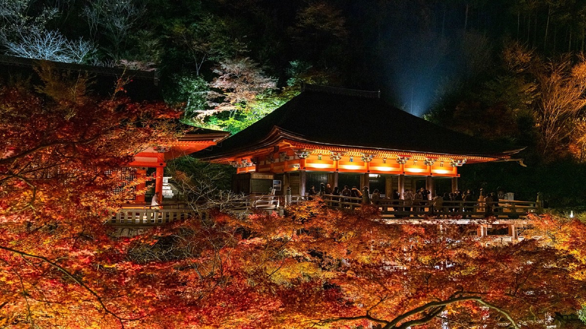 【世界文化遺産　清水寺】秋の夜間特別拝観（奥の院）
