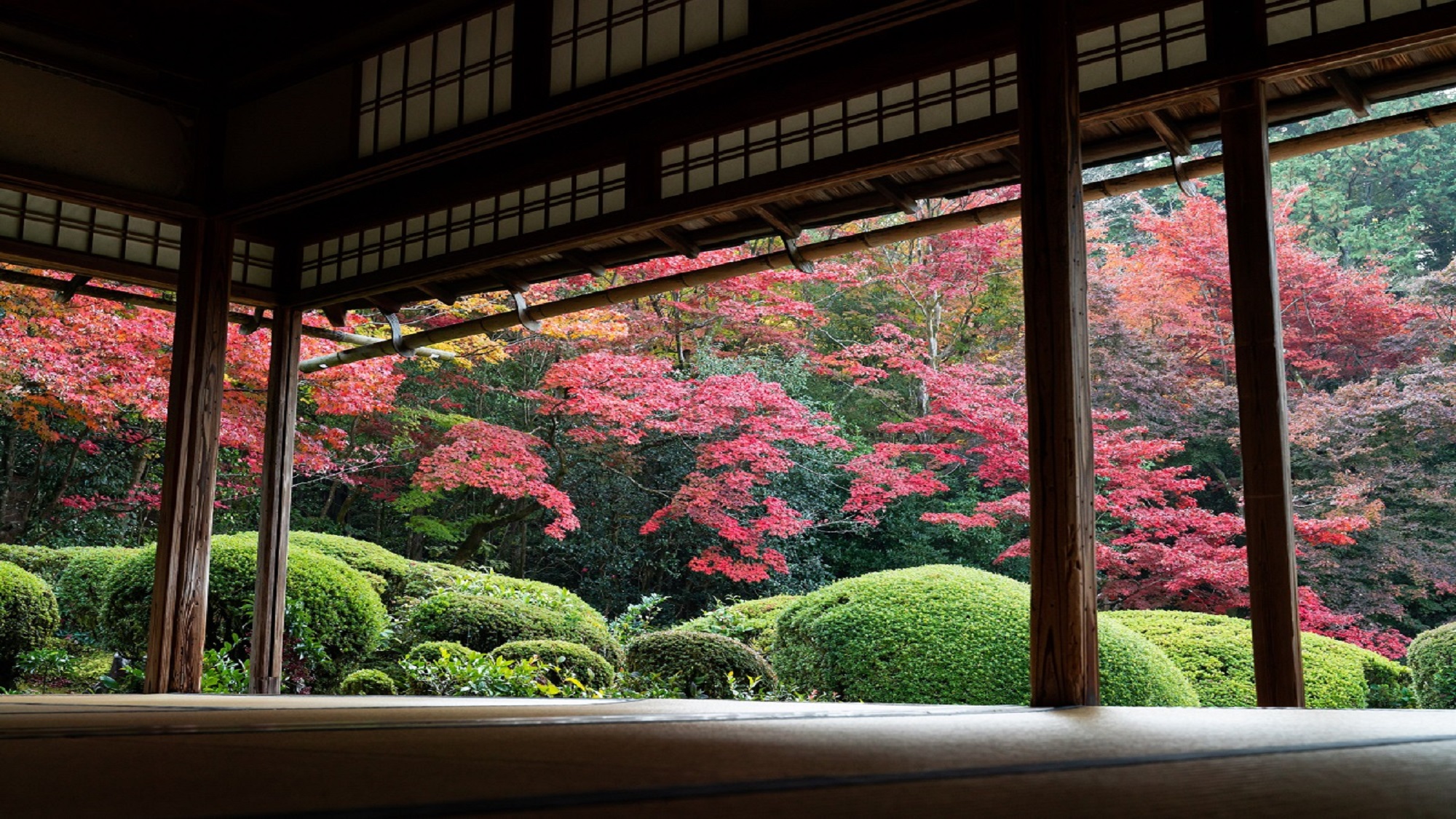 【詩仙堂】秋の特別早朝拝観プラン