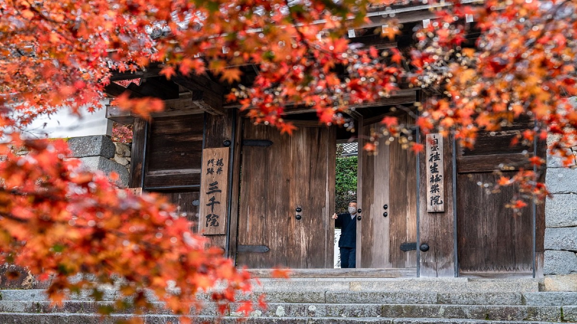 【三千院】秋の特別早朝拝観プラン