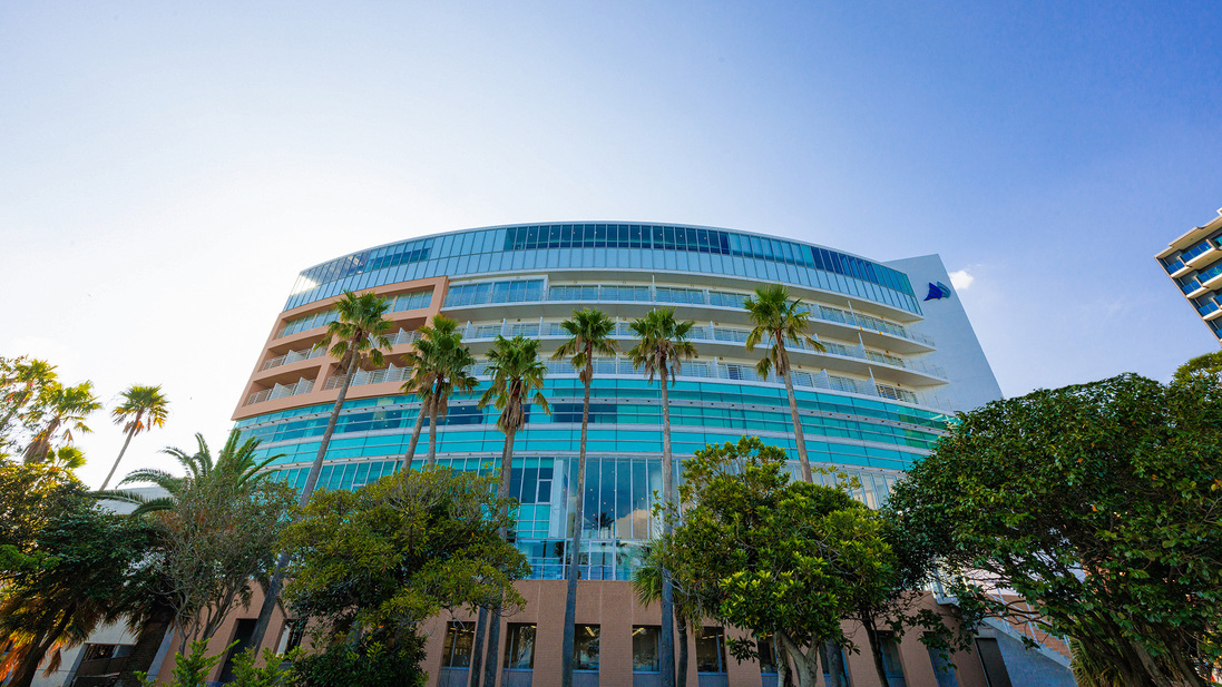 マリンパレスかごしま 宿泊プラン一覧【楽天トラベル】