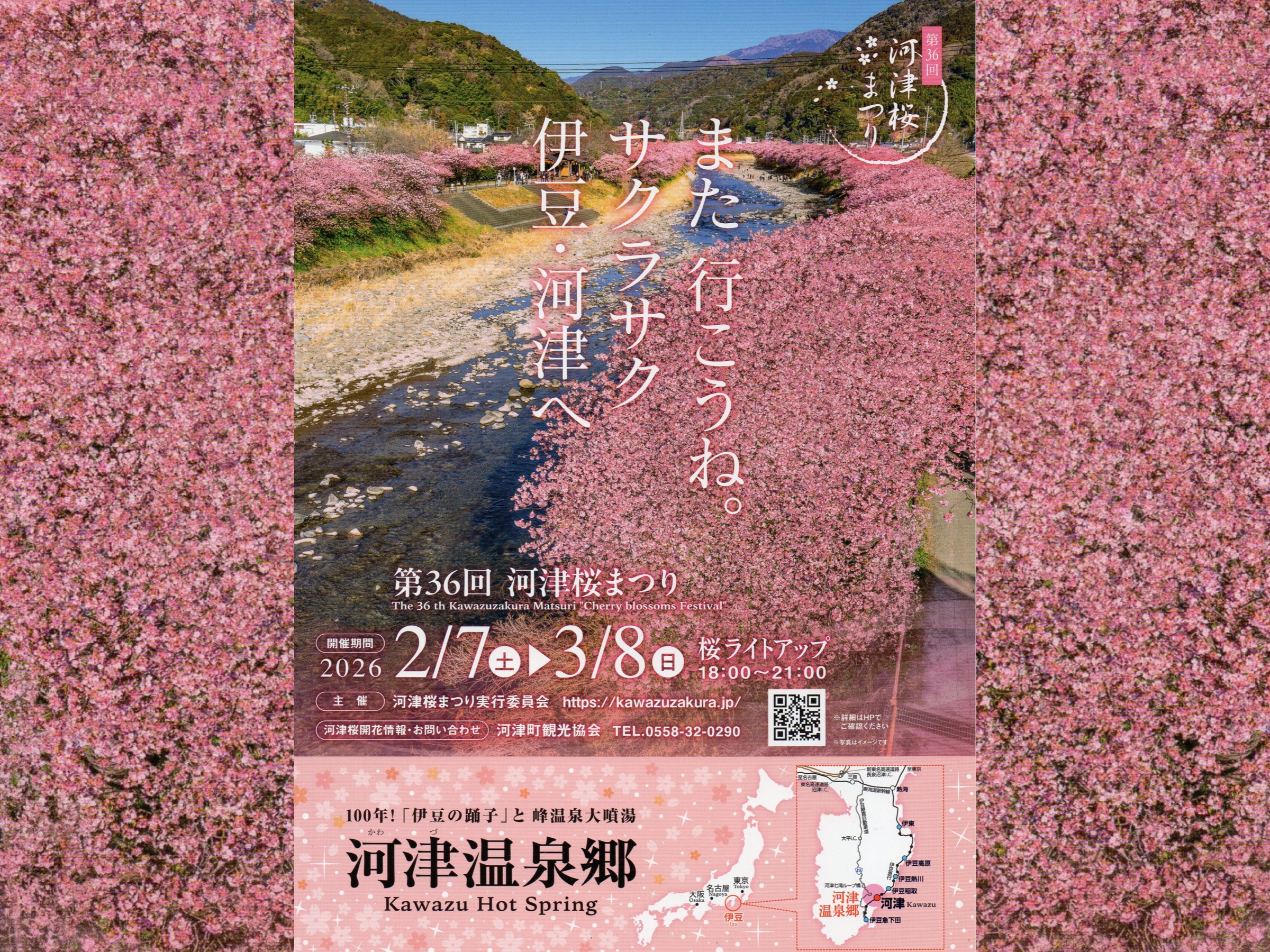2026第36回河津桜