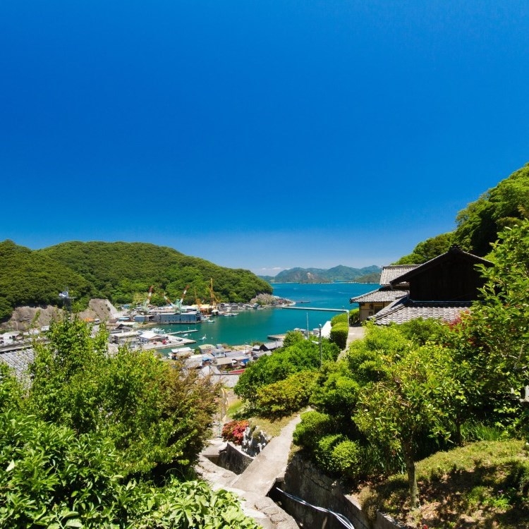 【日帰り温泉×ランチ×個室利用】絶景露天温泉＆黄金の島会席