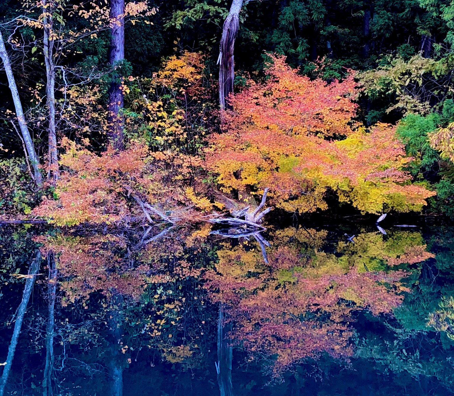 青木湖鏡池