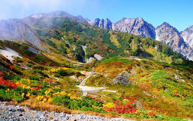 【八方アルペンライン往復券付】リフトで白馬の花と展望の山へ！雲上のトレッキングで深呼吸＜2食付＞