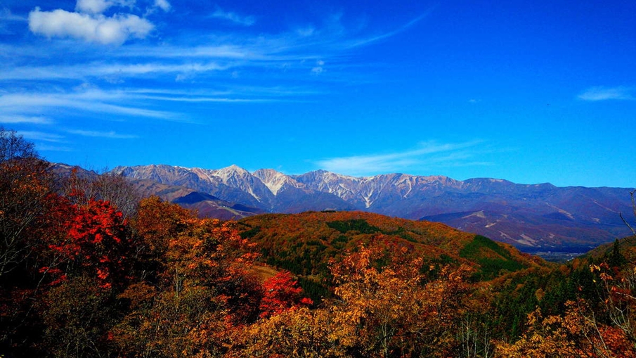 【白馬五竜高山植物園・ゴンドラ往復券＋展望リフト券付】あなたの心にも花を咲かせましょう♪＜夕朝食付＞