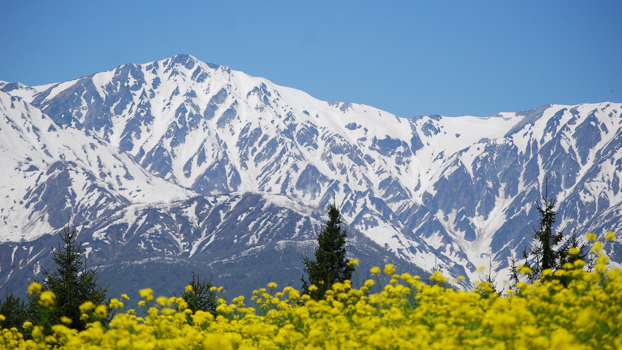 【春】6月頃までは充分に白い雪の山が楽しめる白馬（写真は5月上旬）