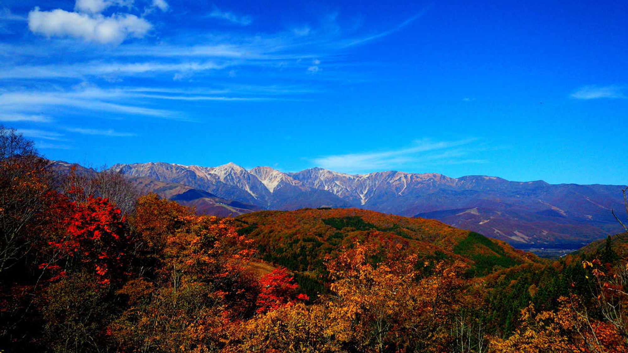 【秋】黄色に赤が入るのがいい！五竜のここの紅葉を見るなら10月10日頃。小遠見10月頭、園内10月中