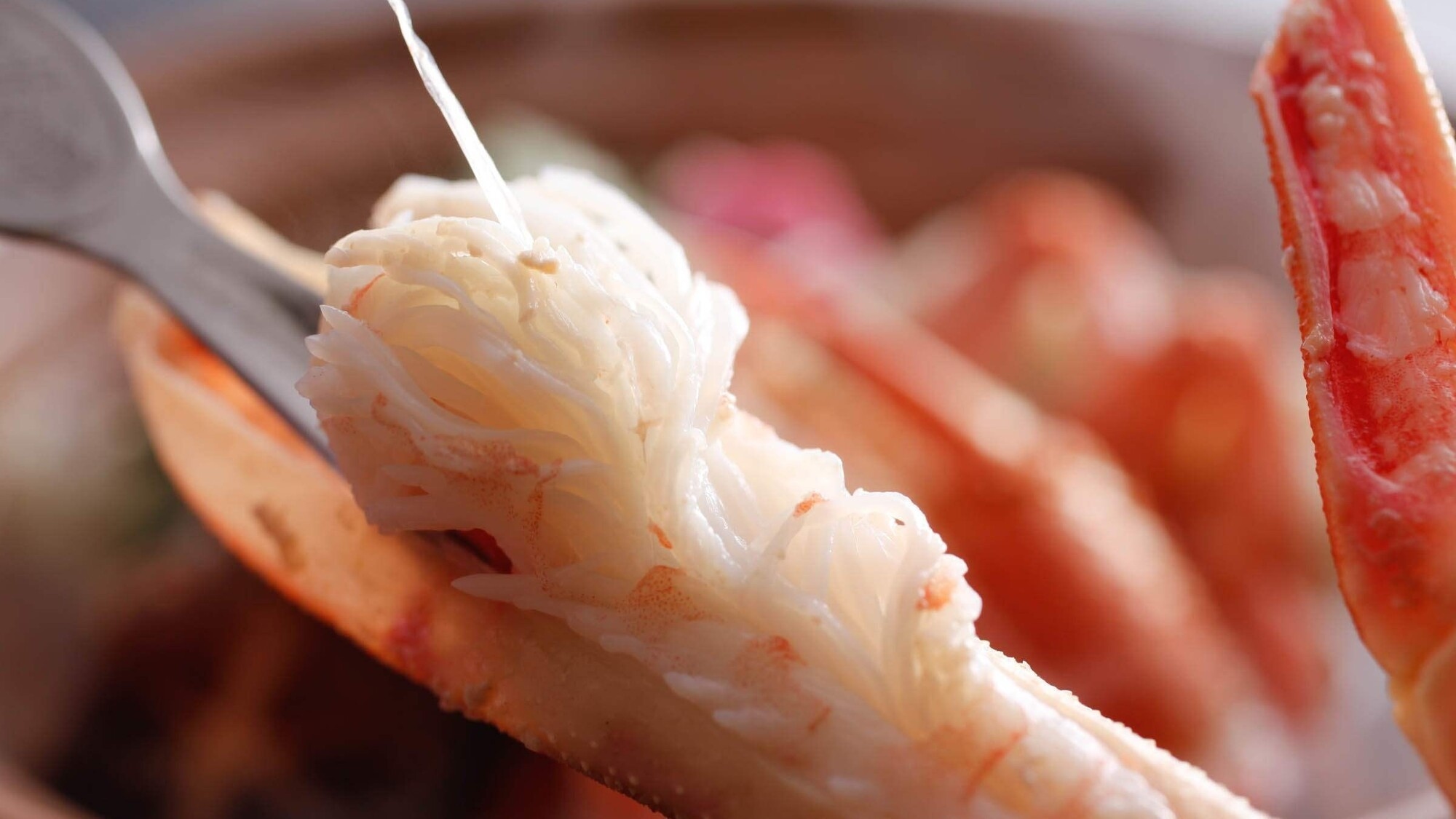 【冬季限定】タグ付き加能蟹を味わう特別懐石
