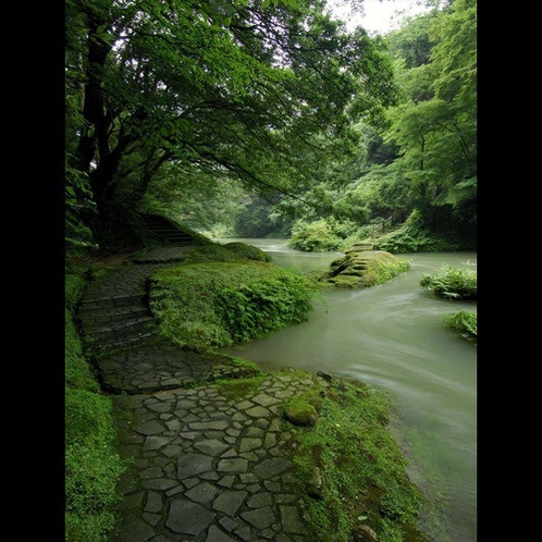 鶴仙渓・遊歩道