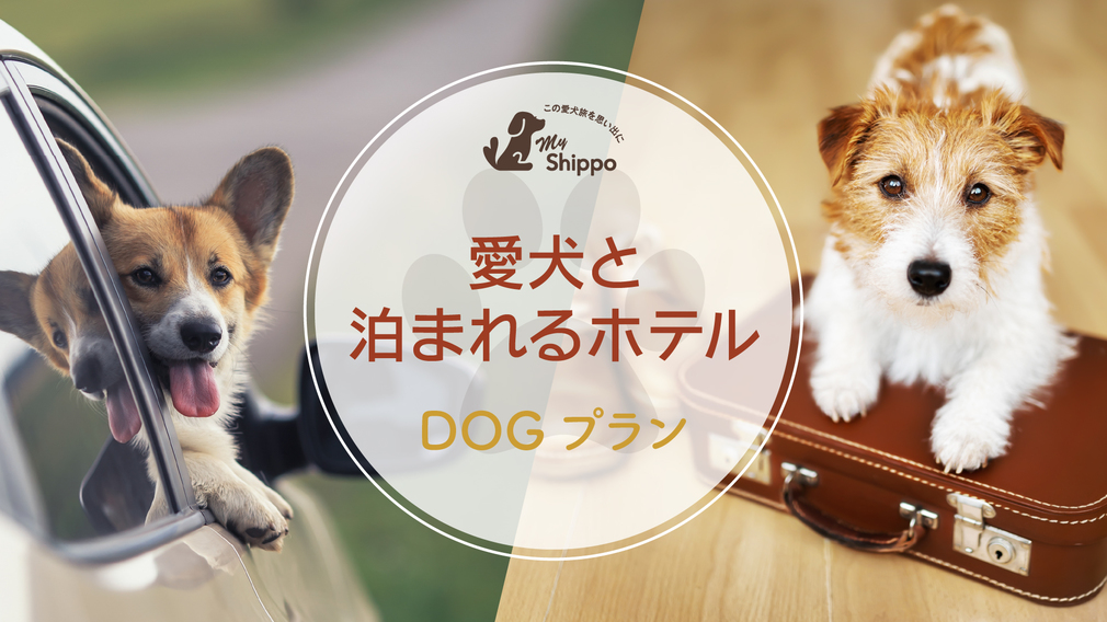 「温泉露天風呂付き客室」でワンちゃんと一緒にくつろぐ【素泊まり】