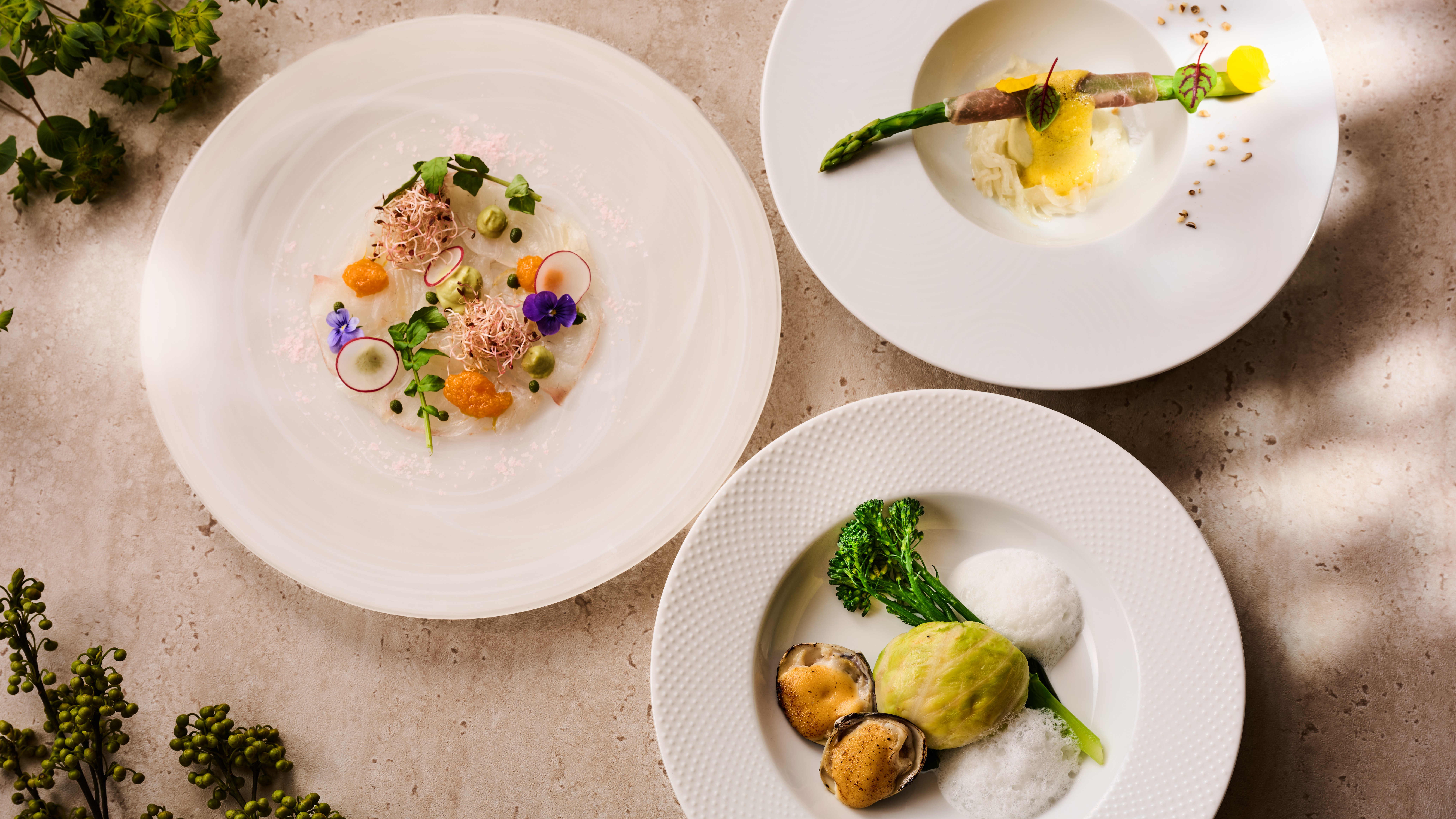 【2026年/春】極（KIWAMI）ディナー