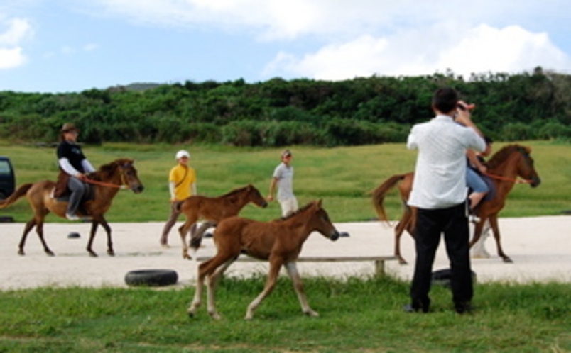 与那国馬乗馬