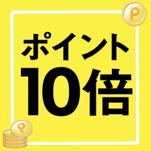【ポイントアップ】泊まれば貯まる！うれしいポイント10％プラン／素泊り