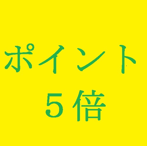 【事前カード決済限定】お得♪スタンダード5％OFF＆ポイント5倍プラン＜食事なし＞