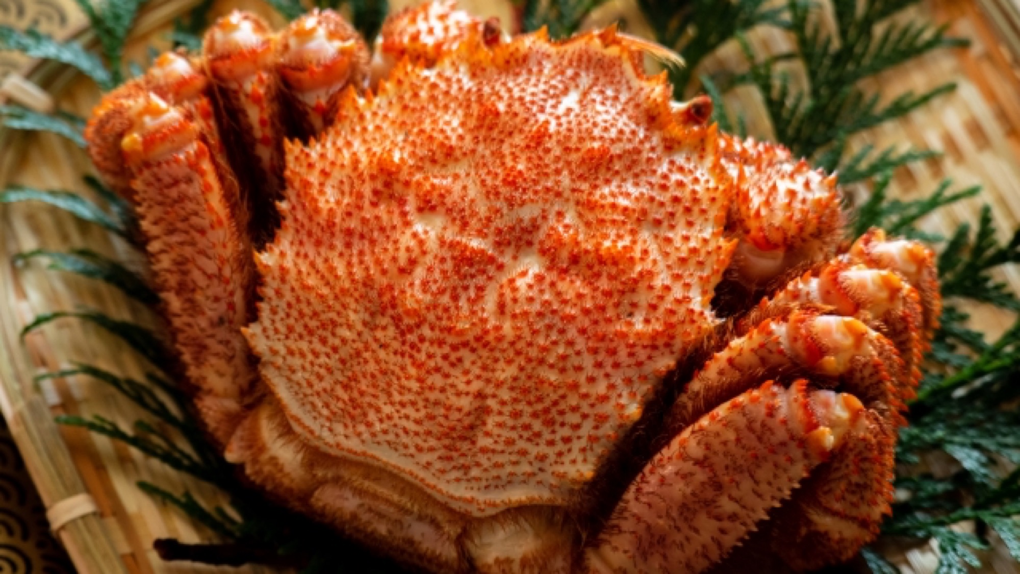 【冬季限定】道産二大蟹を堪能