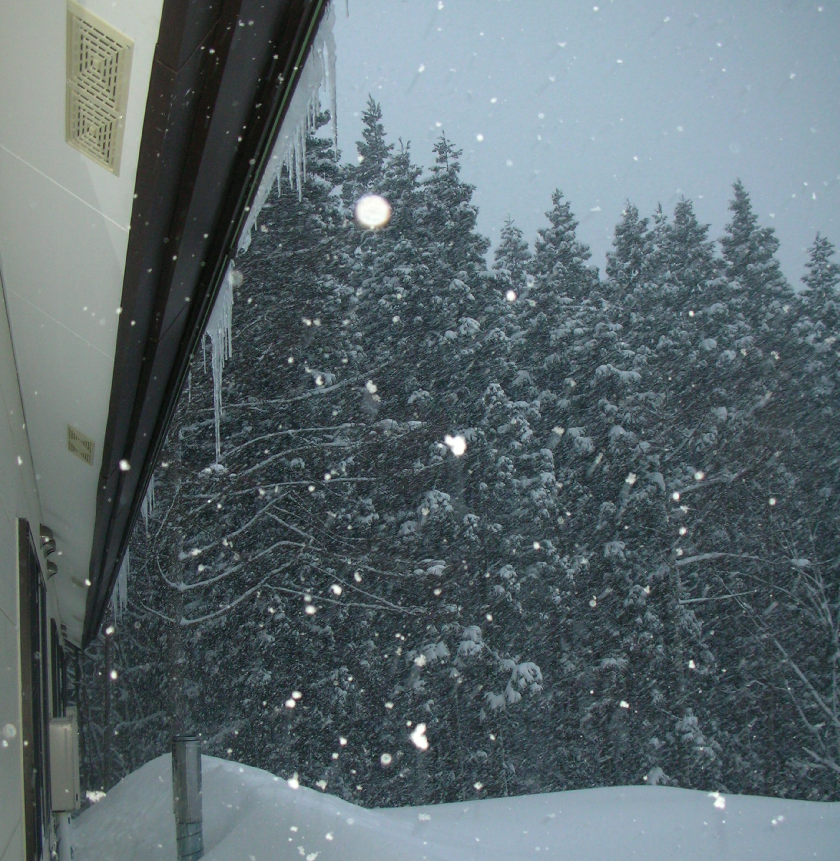 部屋の窓から見た景色