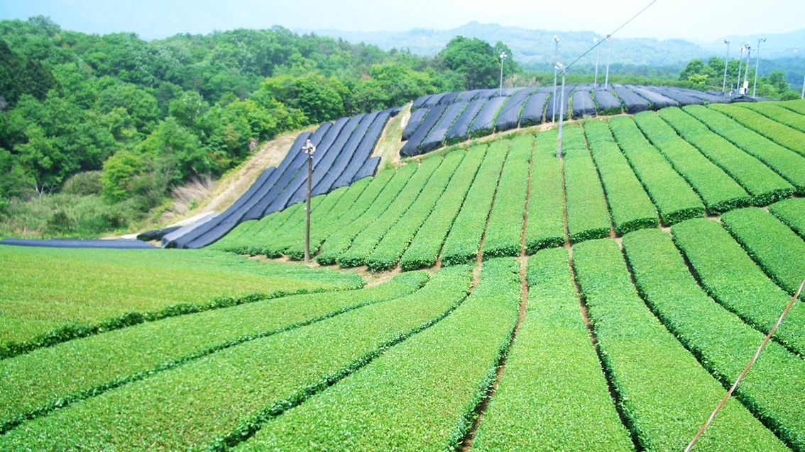 民宿 童仙房山荘 宿泊プラン一覧【楽天トラベル】