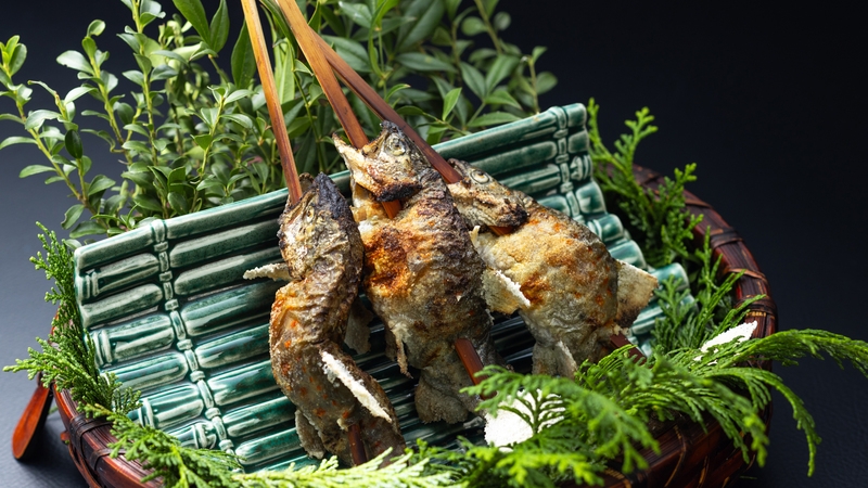 ★直前割★＜10％OFF！＞【ふわり、はなもも日和】春色の花咲くおもてなし【はなや旬彩懐石】