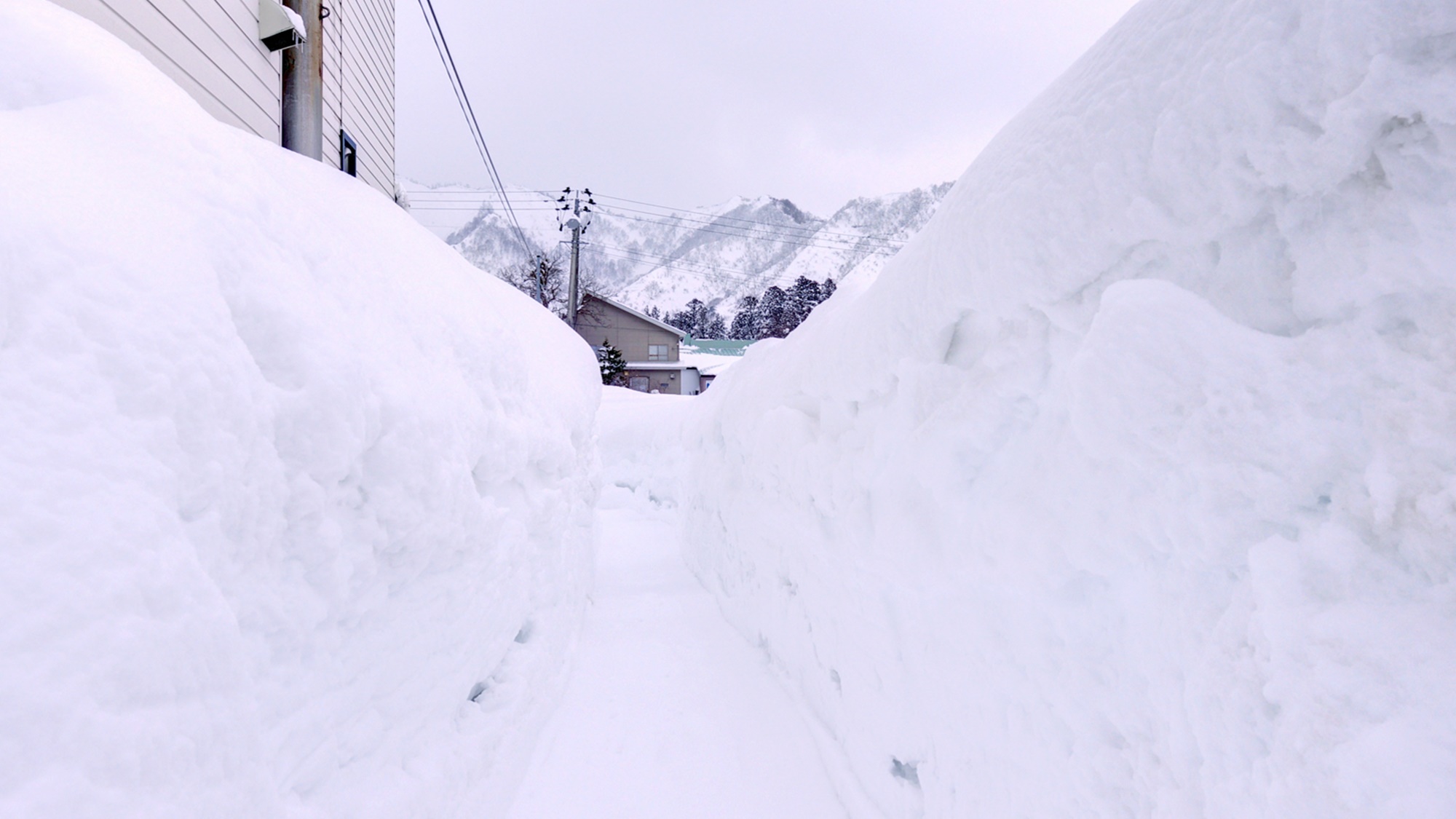 *周辺景観／12月より宿周辺は一気に雪景色となります。1～2月には数m降り積もることも！