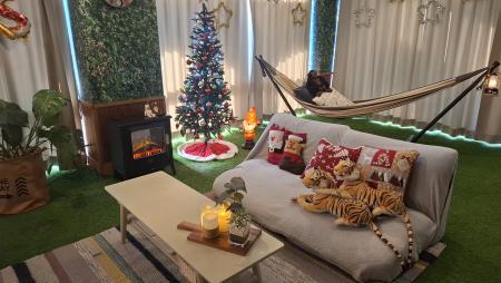 CAMP365　クリスマス2025