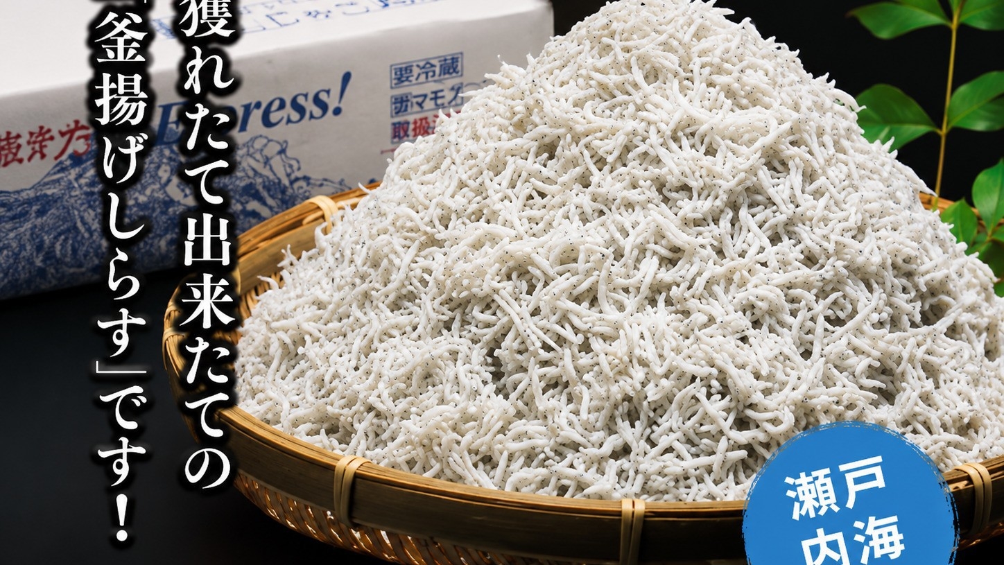 漁期限定！この時期、この場所でしか食べられない「幻の釜揚げしらす」朝食！inCAMP365【朝食付】