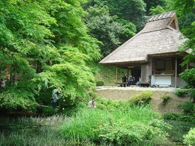 県特別指定名勝 吉水園 初夏、初秋に限定開園します。