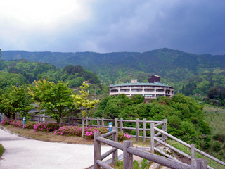 全景公園より