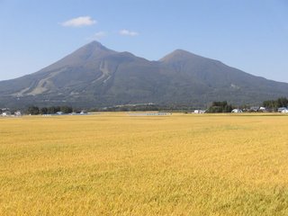 秋の景色