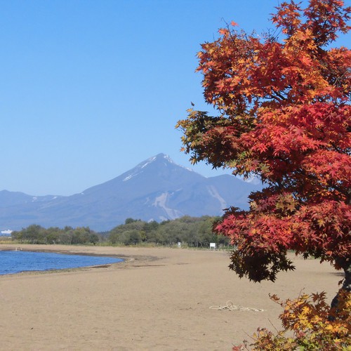 秋の志田浜