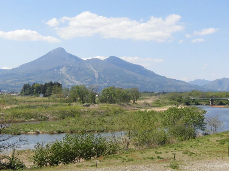 長瀬川周辺の景色