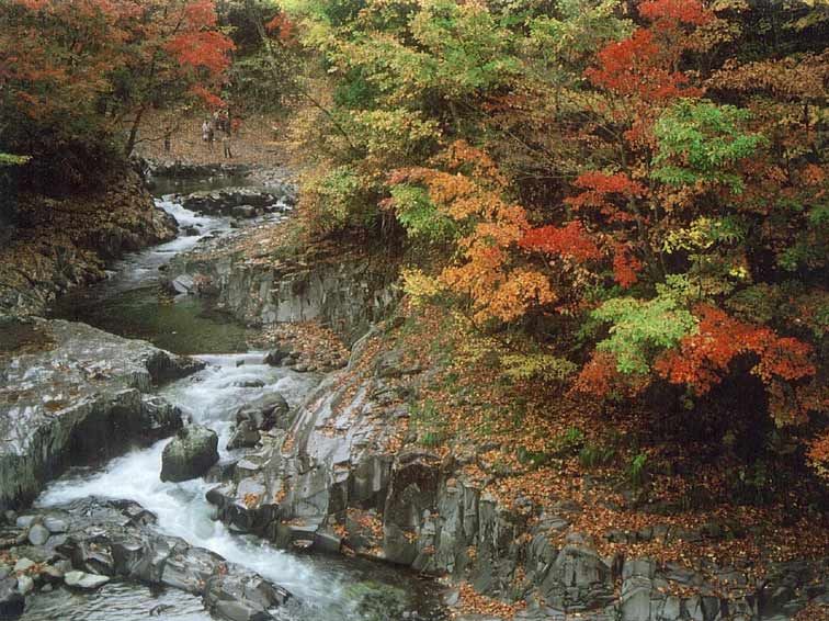 秋の中津川渓谷