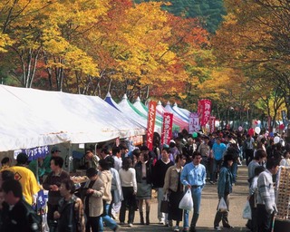 九頭竜紅葉まつり