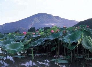 花はす公園