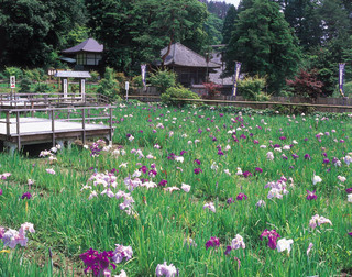 大安禅寺