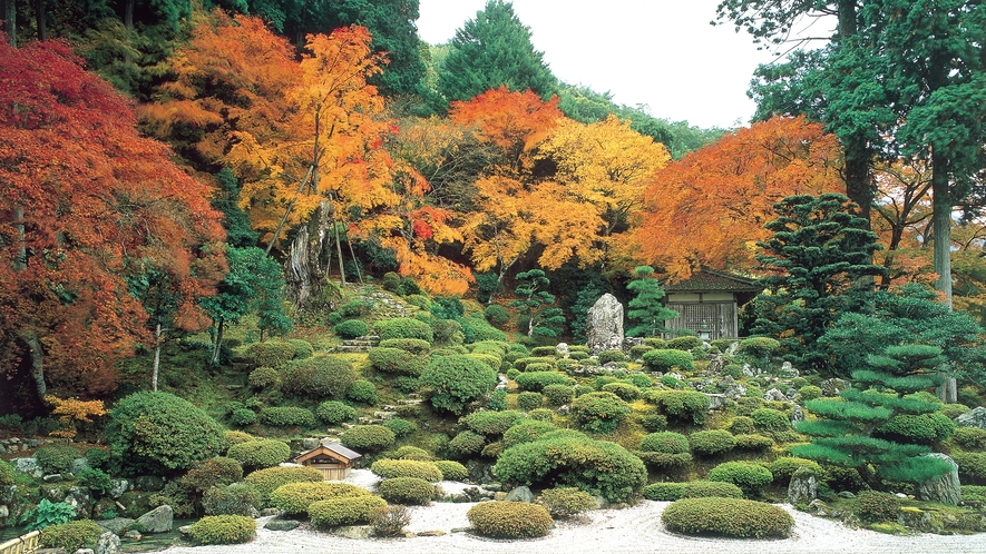 ■萬徳寺　紅葉