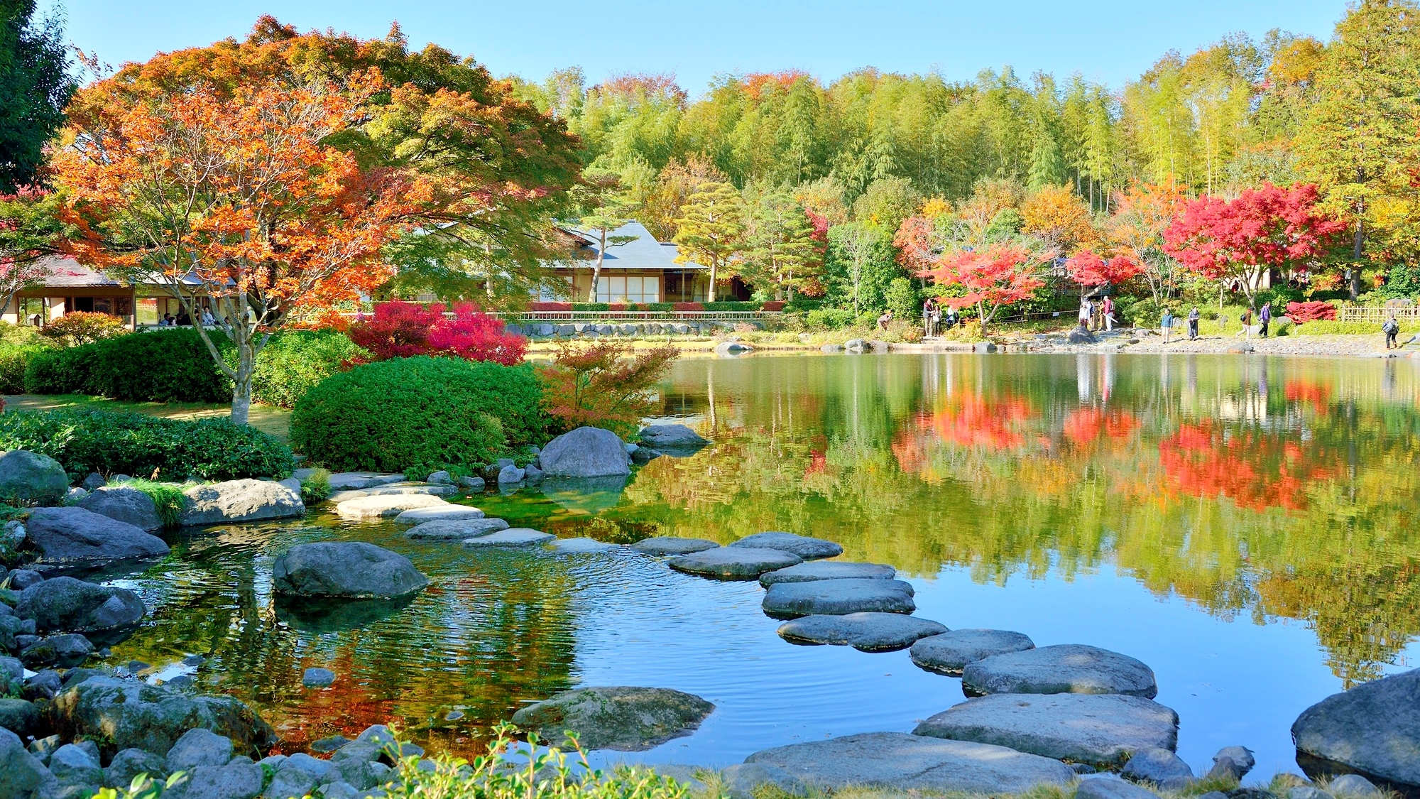 【当館から徒歩約20分】四季折々の花や紅葉、バーベキューが楽しめる「国営昭和記念公園」