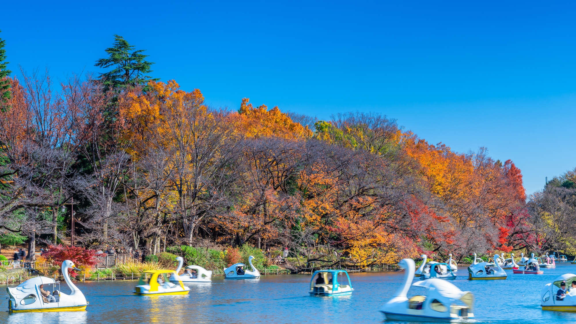 池でボート遊びができる「井の頭恩賜公園」
