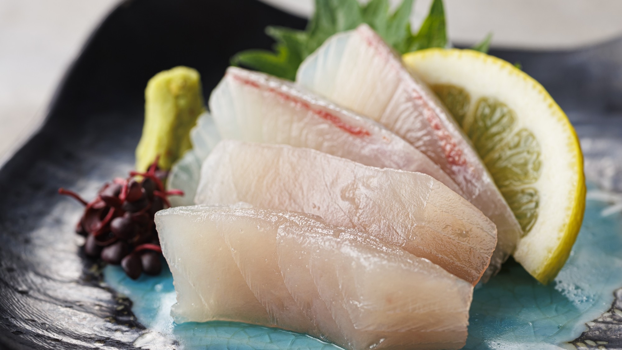 【季節の会席】美浜の風に乗せて