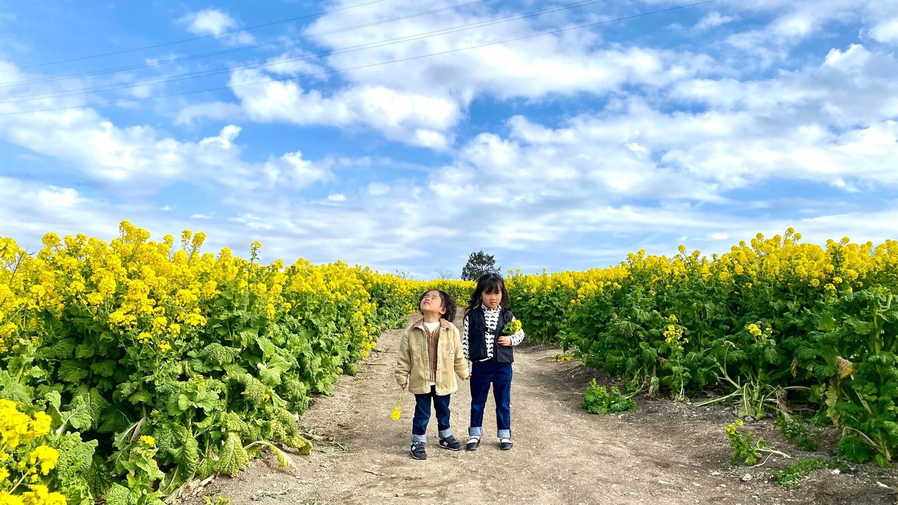 ＜四季の花を摘み取り体験＞『観光農園花ひろば』入園券付きプラン【土地の恵み会席】