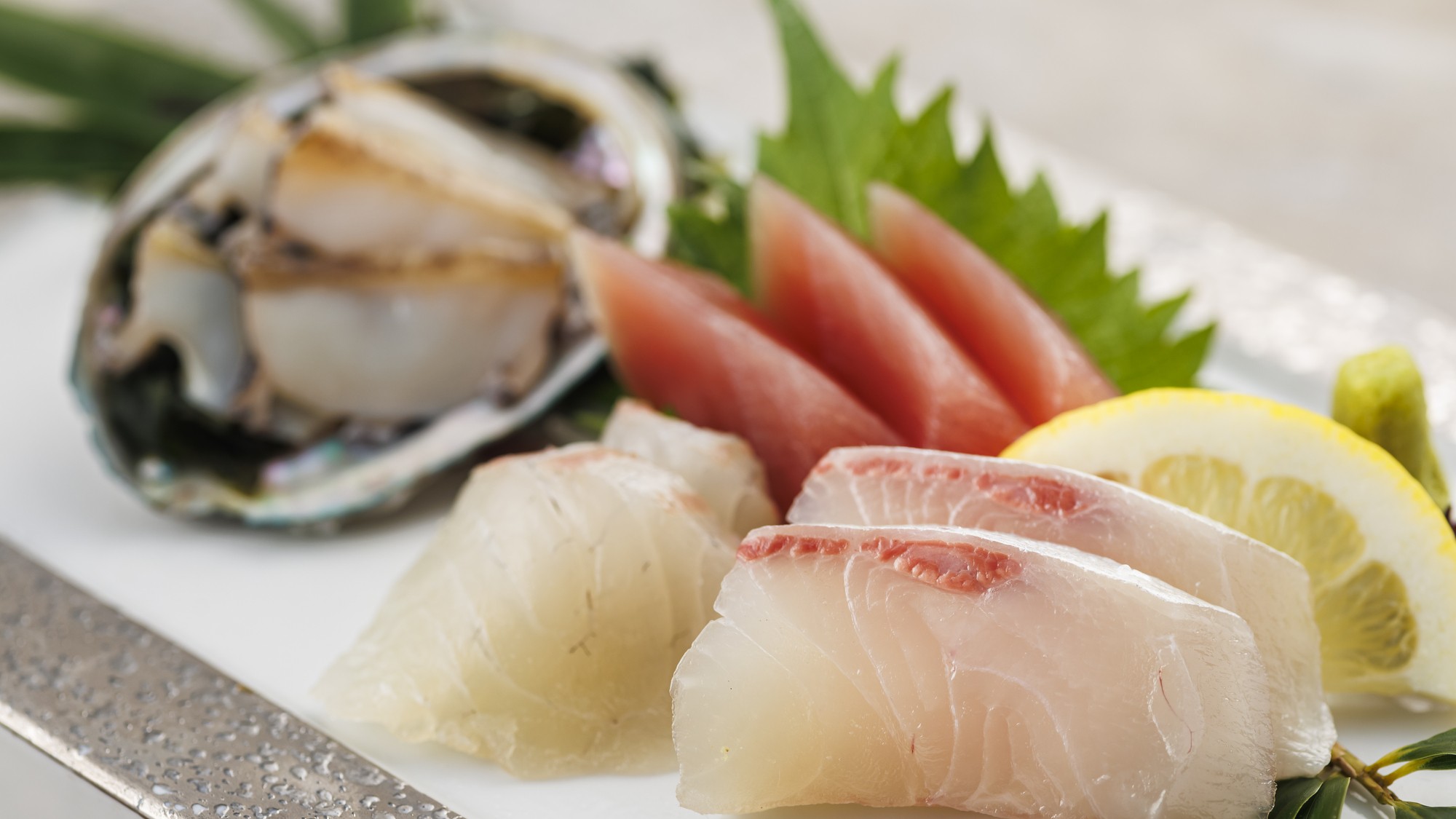 3.1～5.31【特別会席】お造り一例