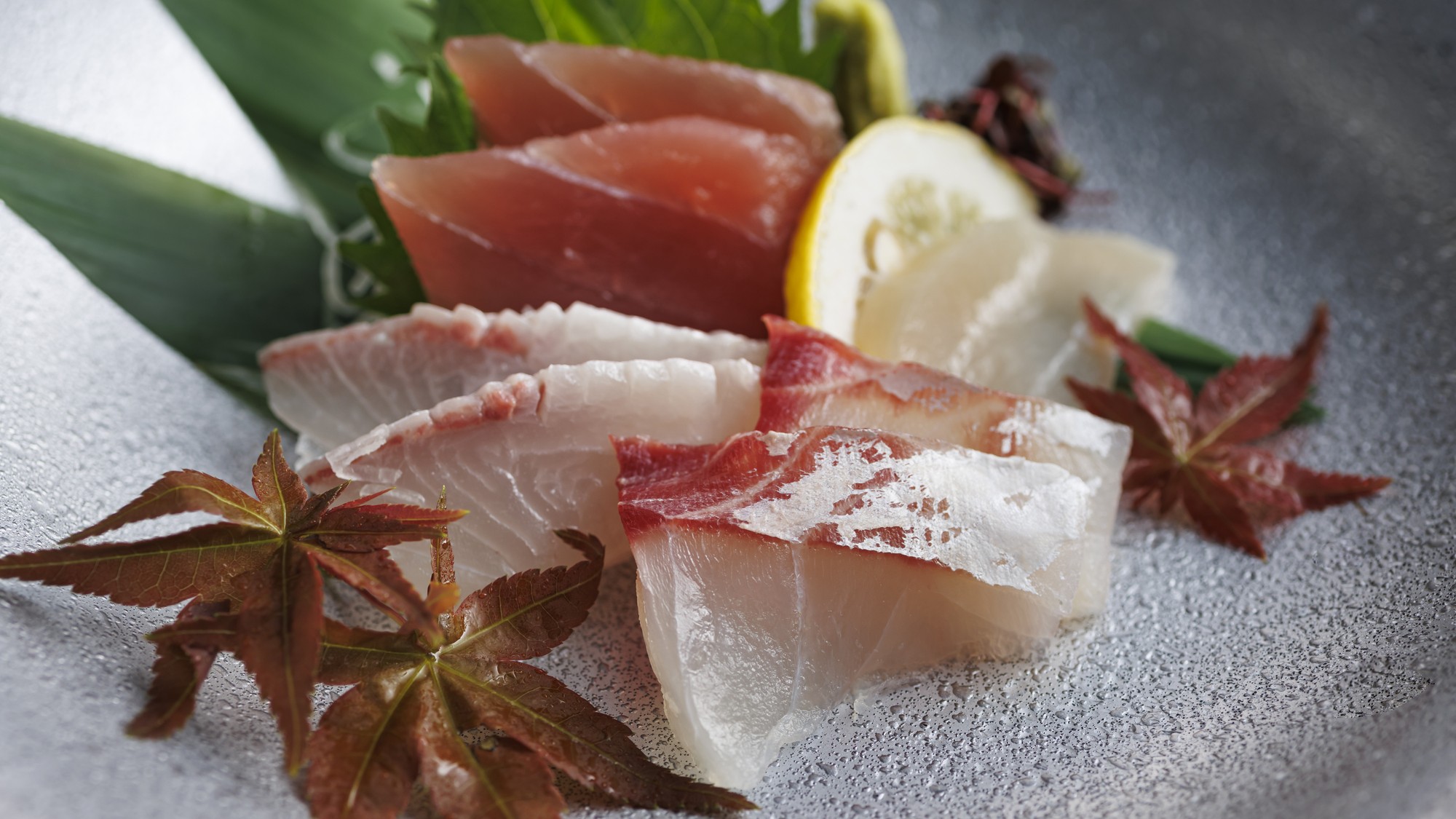 12/1～2/28【土地の恵み会席】お造り一例