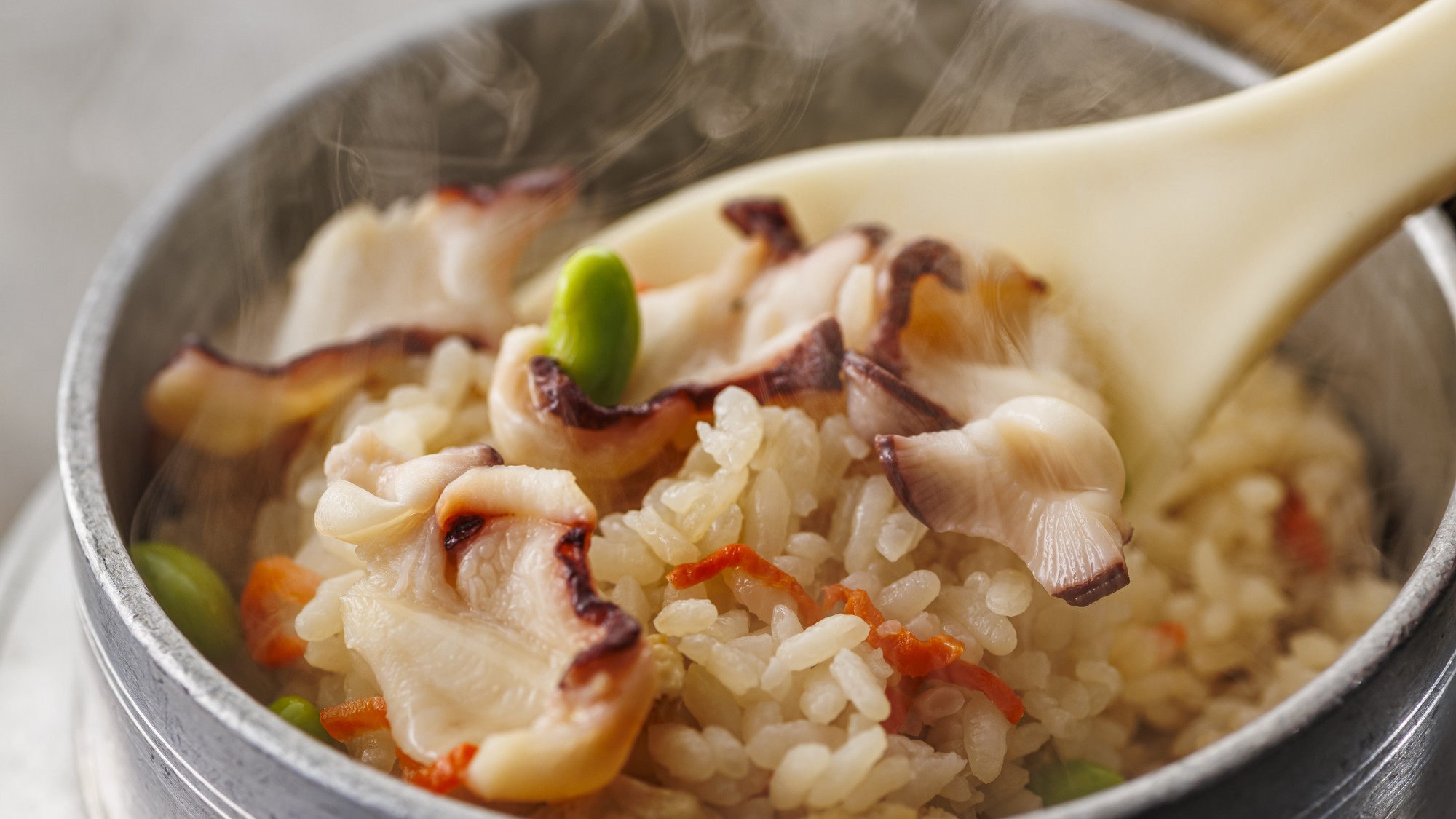 3.1～5.31【特別会席】蛸釜飯