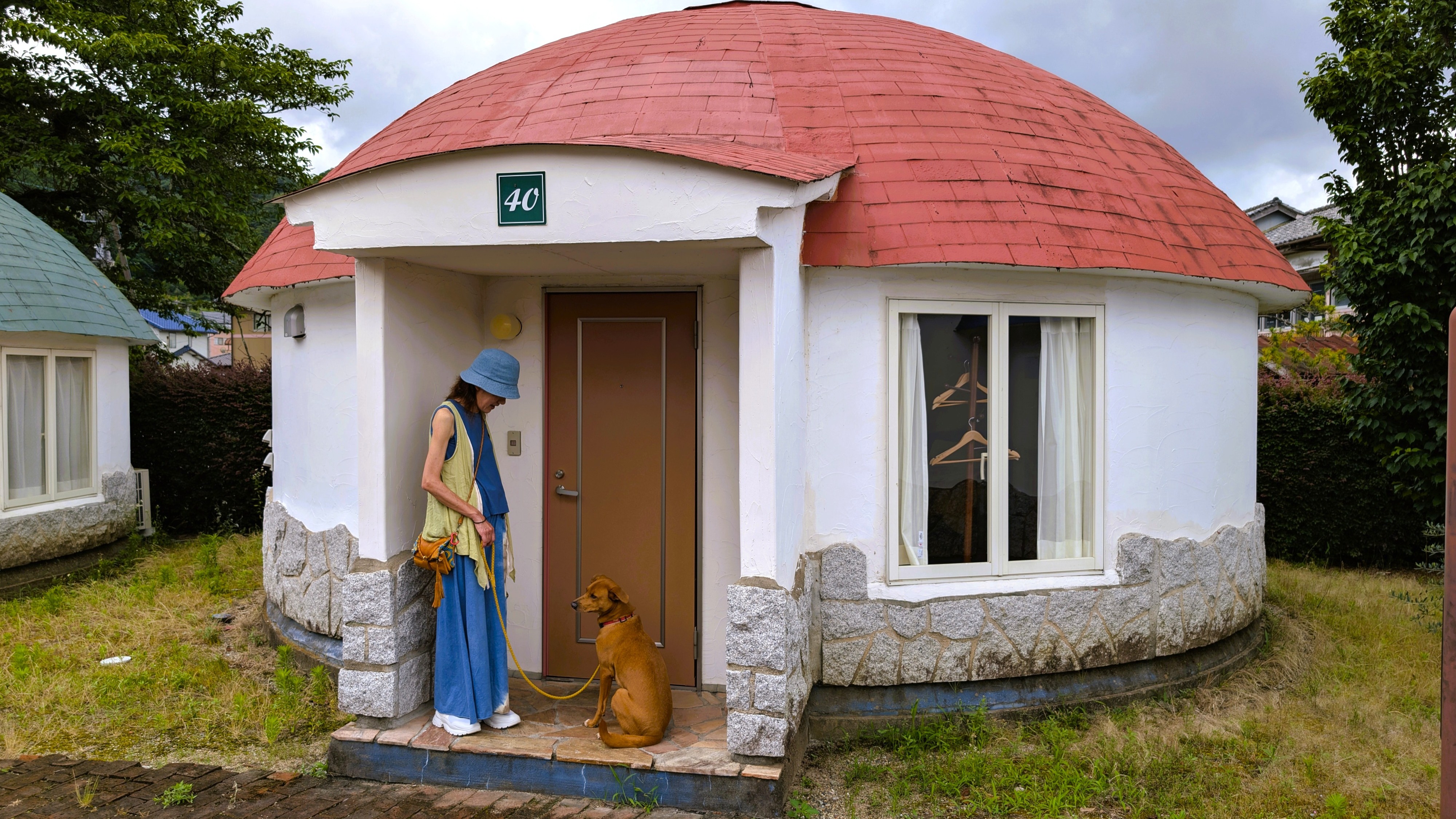 ＜2匹までわんちゃん宿泊OK＞オリーブの木【3ベッドタイプ】　