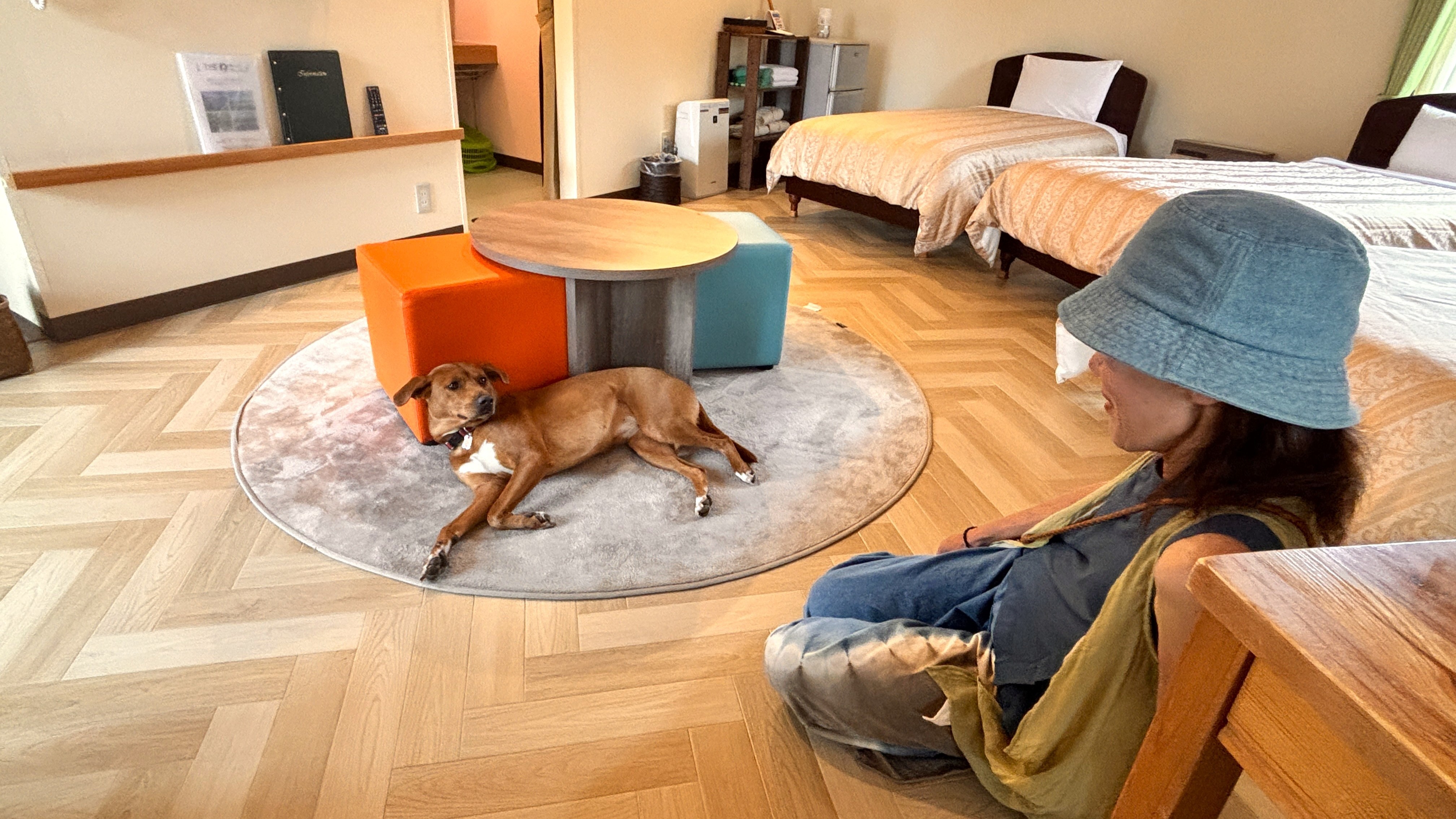 ＜2匹までわんちゃん宿泊OK＞オリーブの木【3ベッドタイプ】　